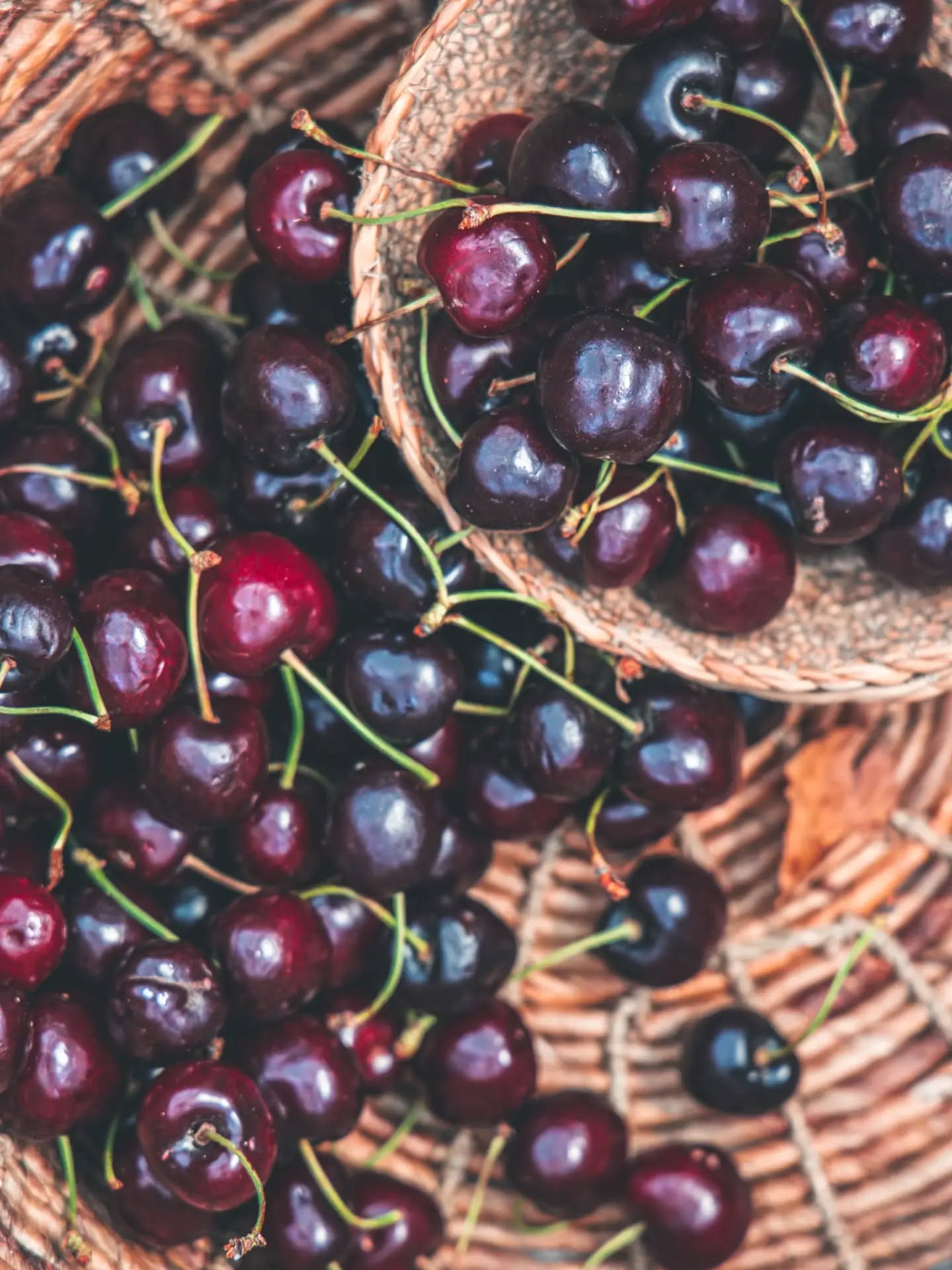🍒 CEREZAS: PERLAS ANTIOXIDANTES 🍒 La cereza es una de las joyas del verano 🌞❤️‍🔥 A su delicioso y caracaterístico sabor se suma un destacado perfil nutricional con el que contribuir a tu salud celular 🧬 Este fruto del cerezo se extendió por Europa y Asia en la época del Imperio Romano, es un árbol que pertenece a la familia de las "rosáceas" y puede alcanzar hasta 20 m de altura 🌳 Cada bocado de las refrescantes cerezas nos aporta una matriz alimentaria muy interesante 😍📝
🍒 Antocianinas y otros polifenoles: Sus pigmentos naturales no solo le dan ese color característico, sino que actúan como potentes antioxidantes protegiendo nuestras células del daño oxidativo 💪🏻🧬
💧 Potasio y agua: Una combinación clave para el equilibrio hídrico, la función muscular y la presión arterial 💚
🌿 Fibra y vitamina C: Aportan soporte a la salud digestiva e inmunitaria. Además, las cerezas poseen una carga glucémica baja 🥰

📌 Recuerda: La nutrición debe ser individualizada. En caso de patologías, alergias o tomar medicación consulta con tu dietista-nutricionista 👩🏻‍🔬

📞 Consultas: 640 58 79 14 

#cerezas #polifenoles #antocianinas #cherries #eattherainbow 

Not just a fruit, but a timeless story written in deep red 🪵🍒

Luz natural | ISO 100 | 96 mm | F5,0
